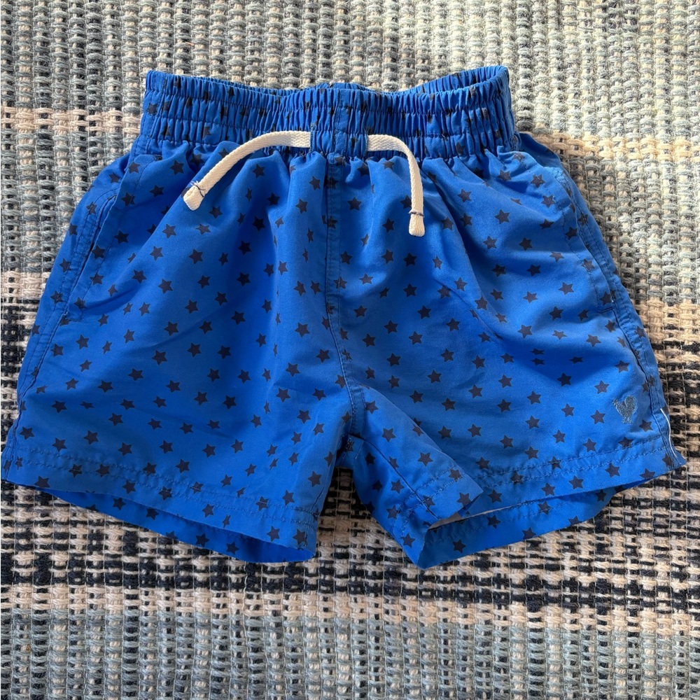 Pink Chicken Navy Star Swim Trunks